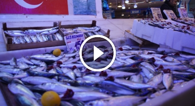 Hamsi zirvedeki yerini istavrite bıraktı