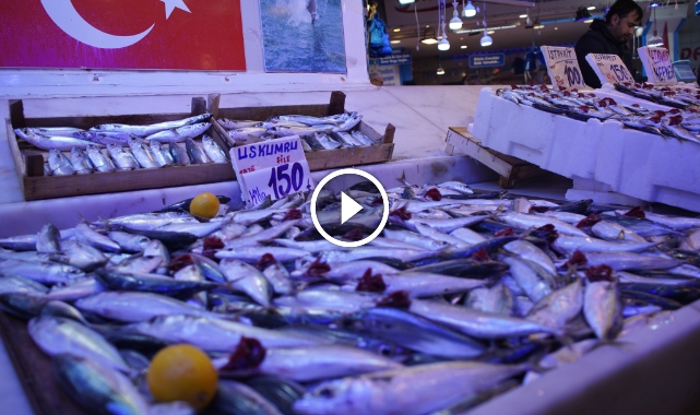 Hamsi zirvedeki yerini istavrite bıraktı