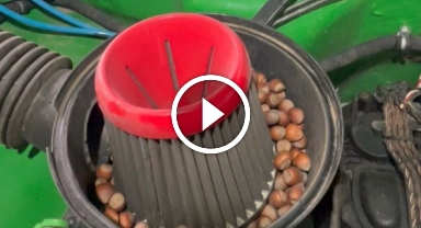 Off-road aracının hava filtresine giren sincaptan fındık sürprizi