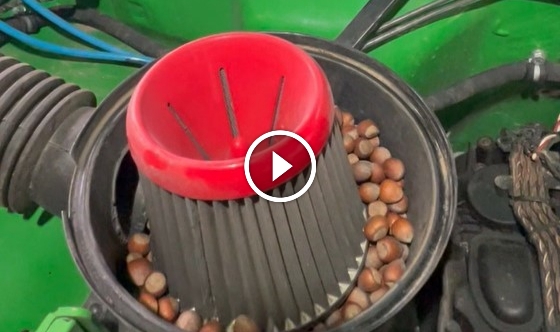 Off-road aracının hava filtresine giren sincaptan fındık sürprizi