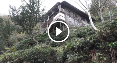 Tırmandığı balkonda kovanlardaki balı yiyen ayı kameralara böyle yakalandı