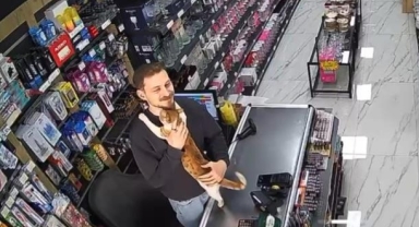 Kedi ile esnafın dostluğu yürekleri ısıttı