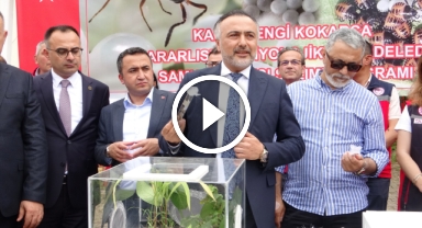 Giresun'da kahverengi kokarcaya karşı 130 bin samuray arısı doğaya salındı